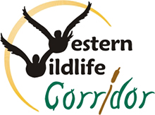 Western Wildlife Corridor