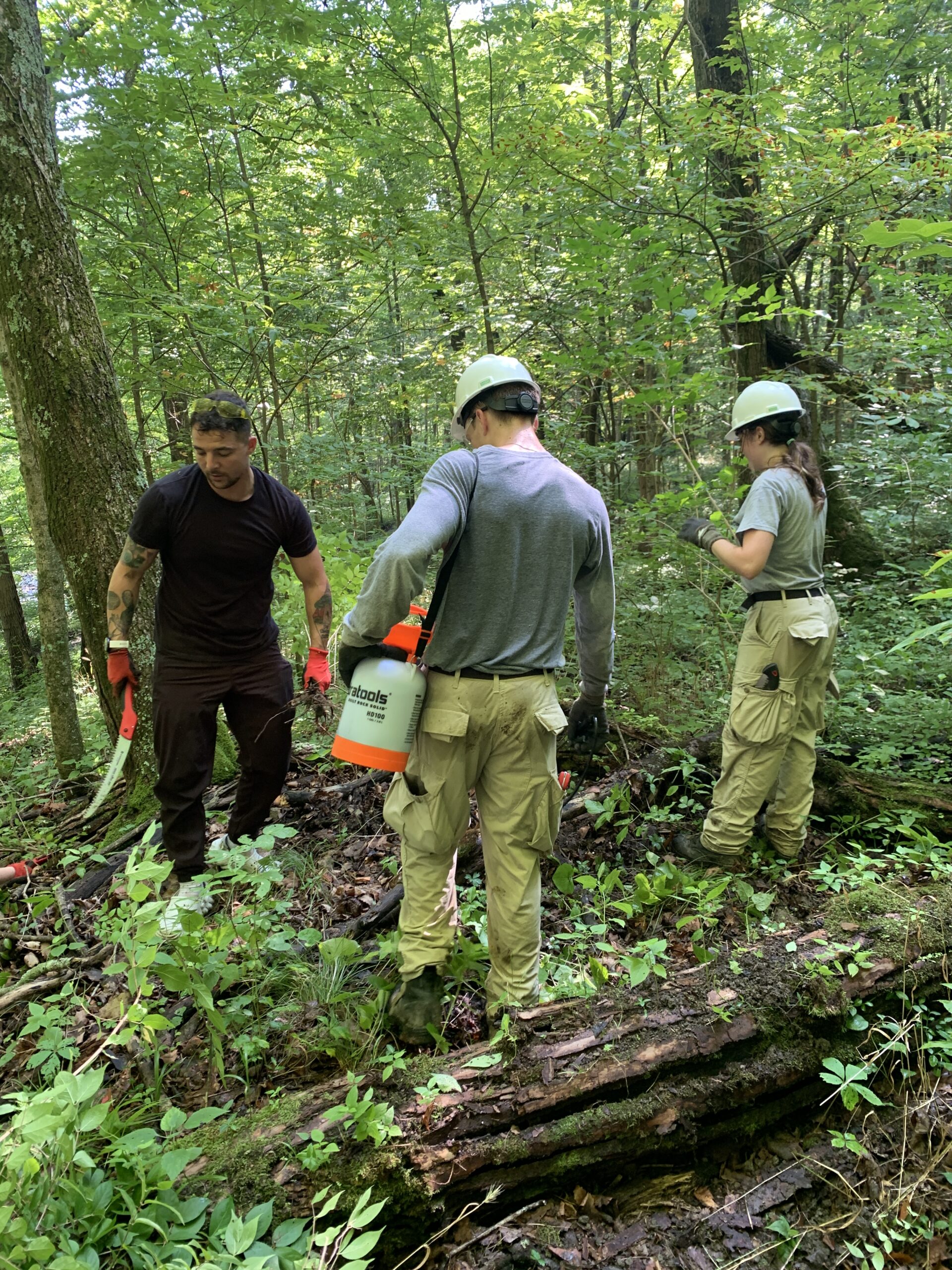 Bender Mountain Habitat Restoration