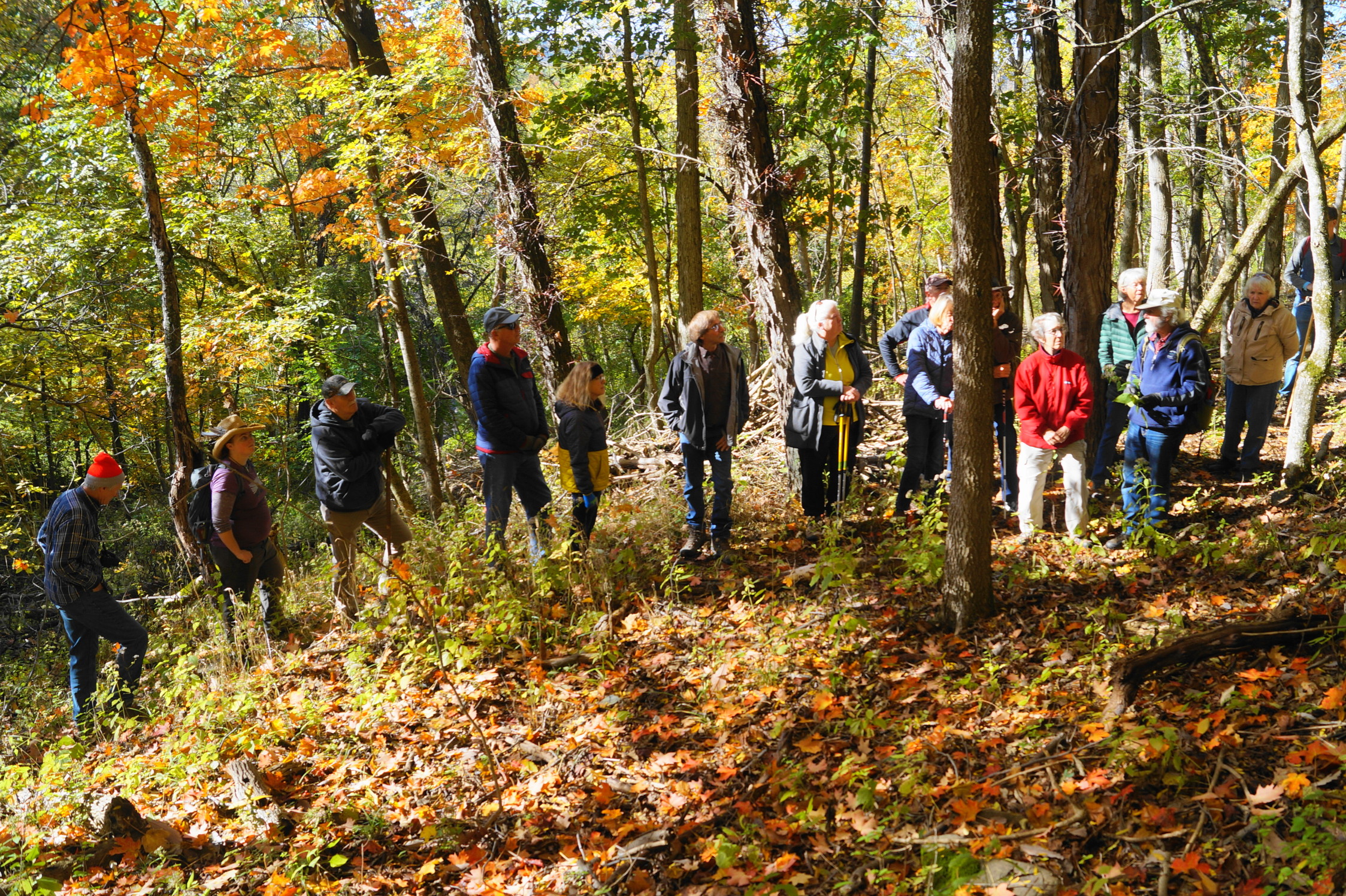 Fall Hike at Bender with Matt Trokan