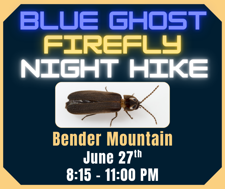 Blue Ghost Firefly Night Hike