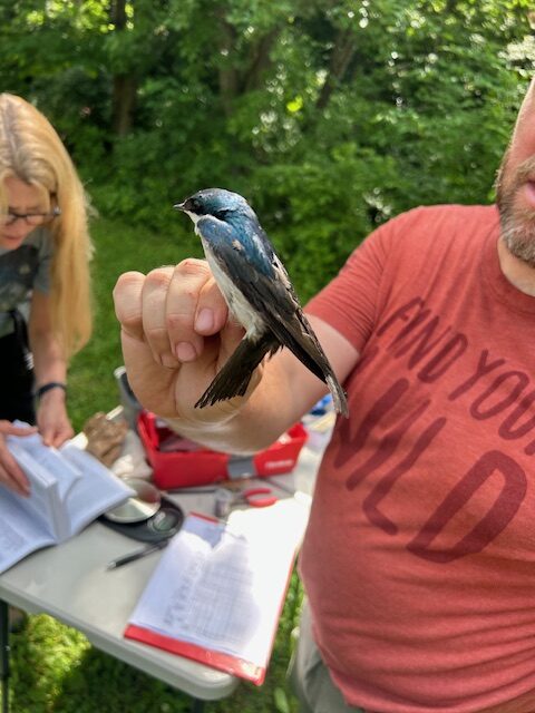 Bird Banding with Adam McCosham