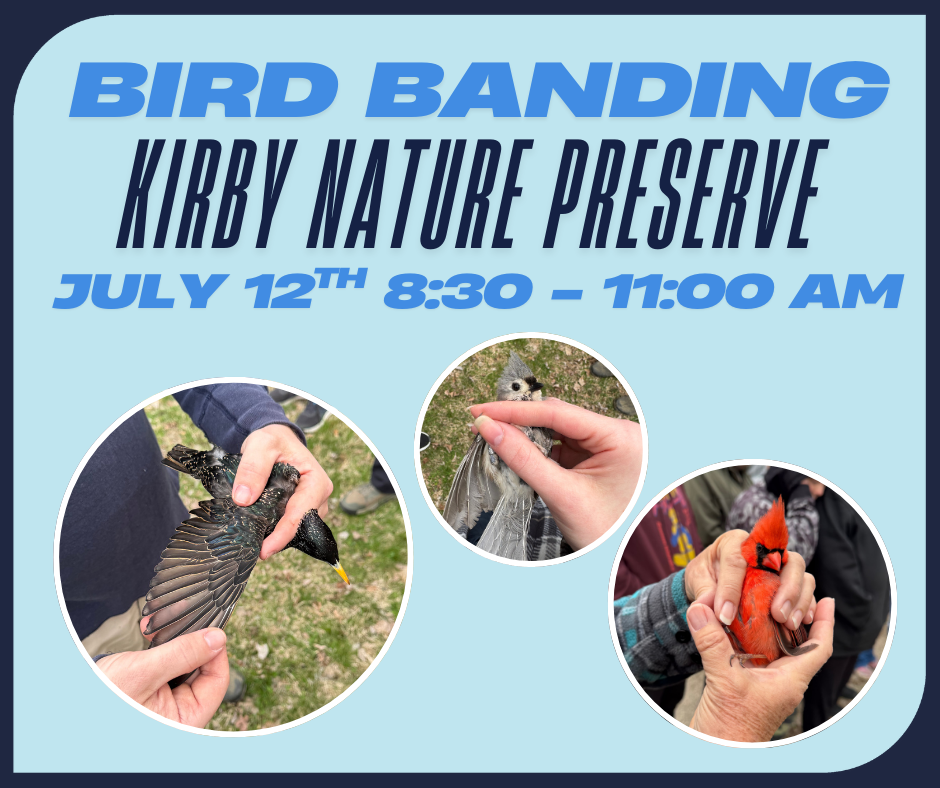 Bird Banding with Adam McCosham