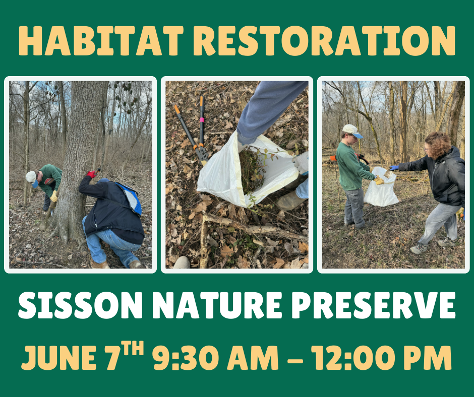 Sisson Nature Preserve Restoration