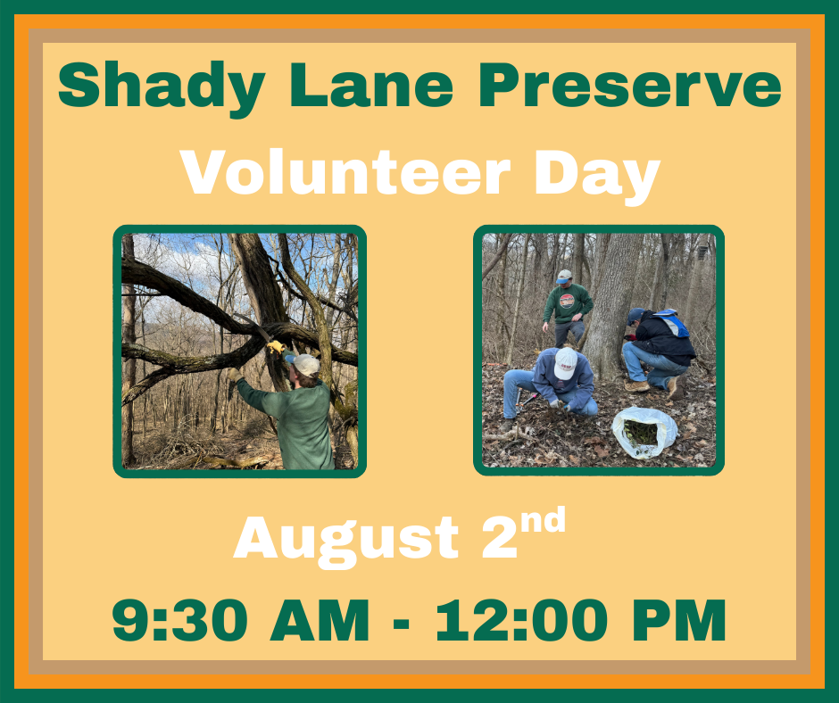Shady Lane Preserve Volunteer Day