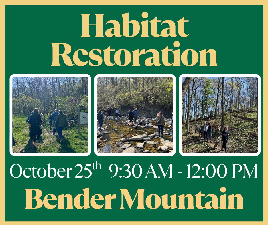 Bender Mountain Habitat Restoration