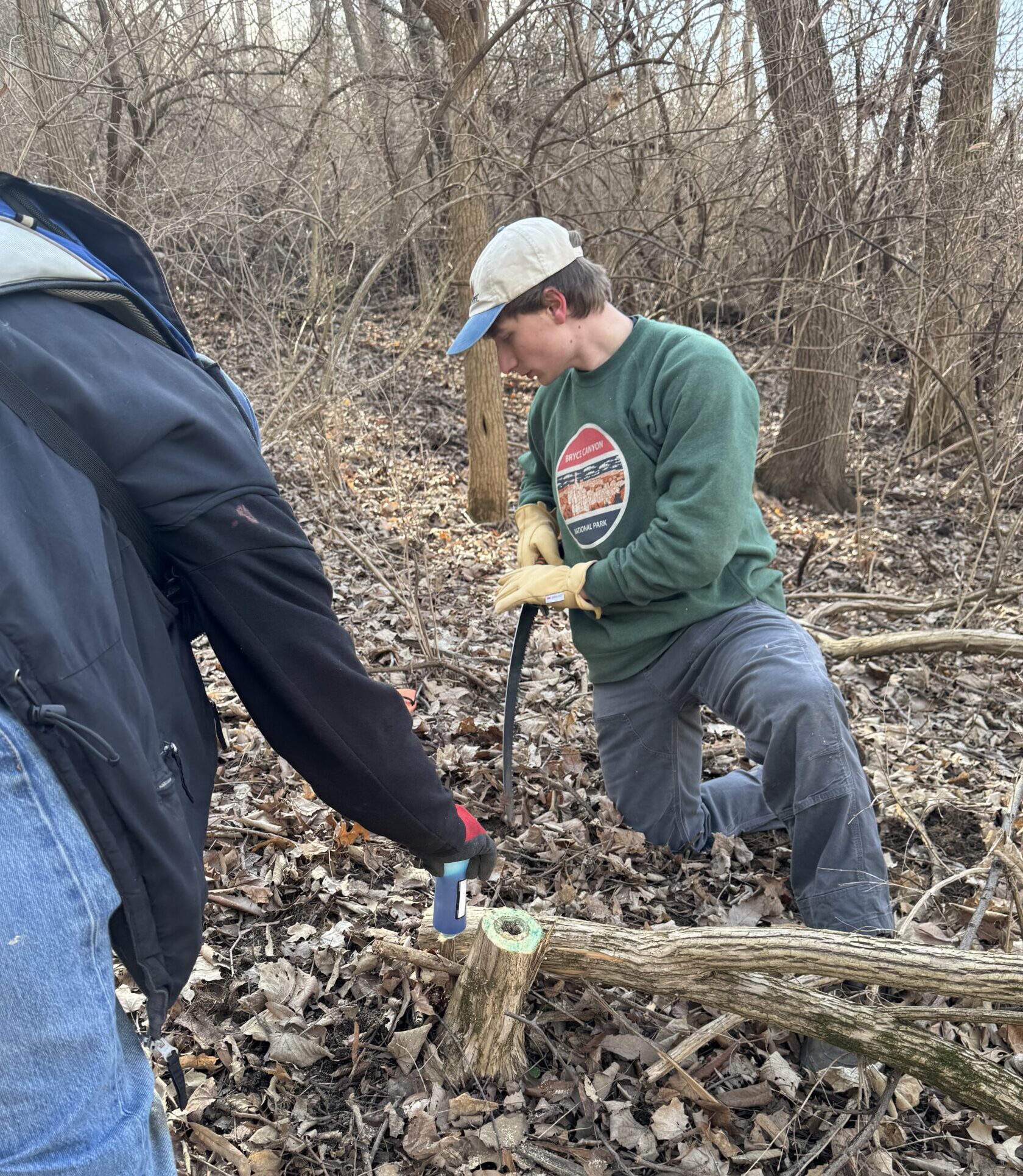 Kirby Nature Center Habitat Restoration