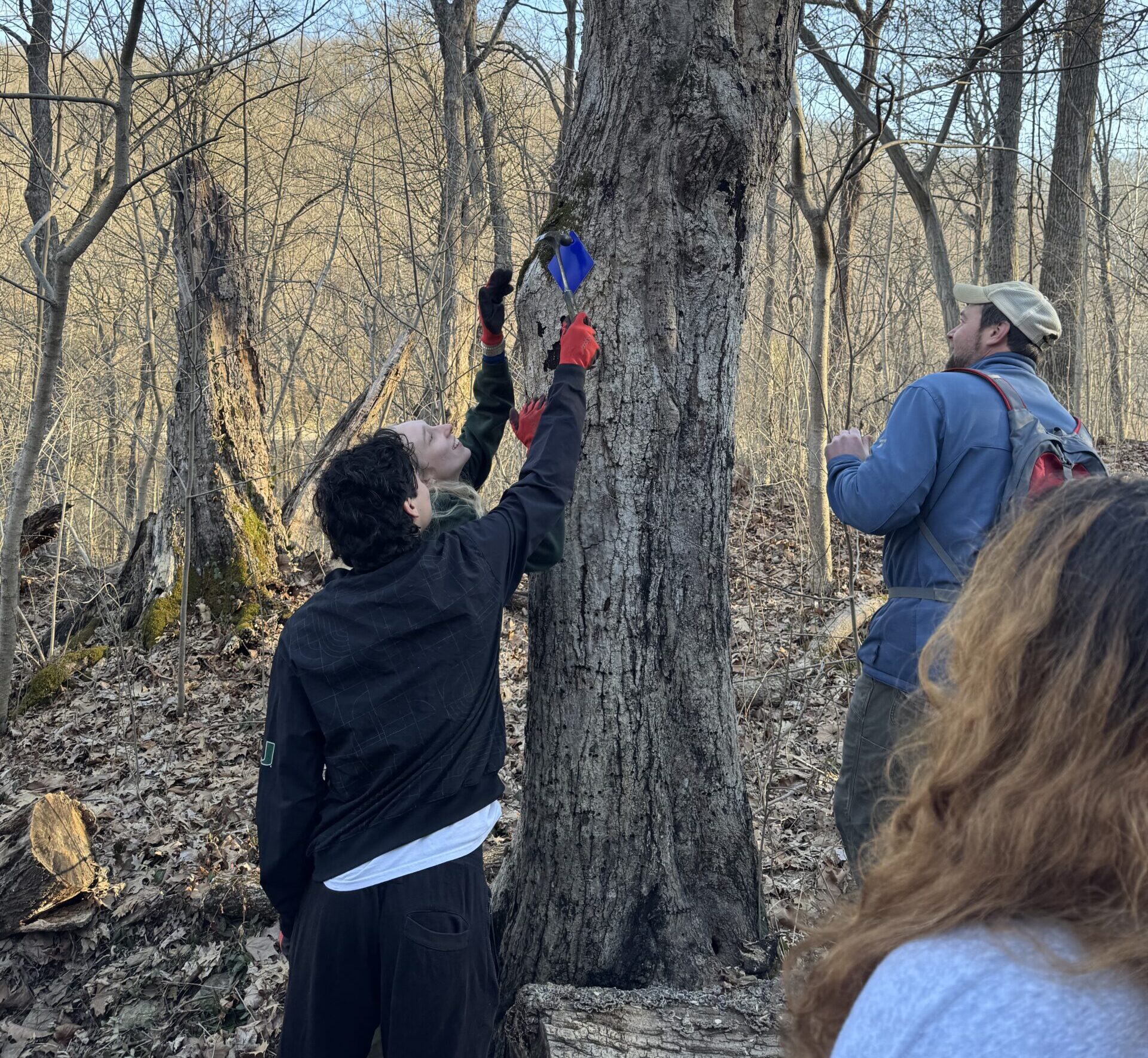 Kirby Nature Center Volunteer Day