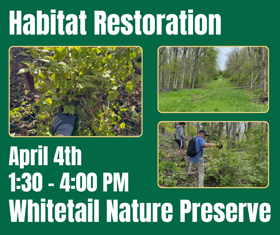 Habitat Restoration at Whitetail Nature Preserve