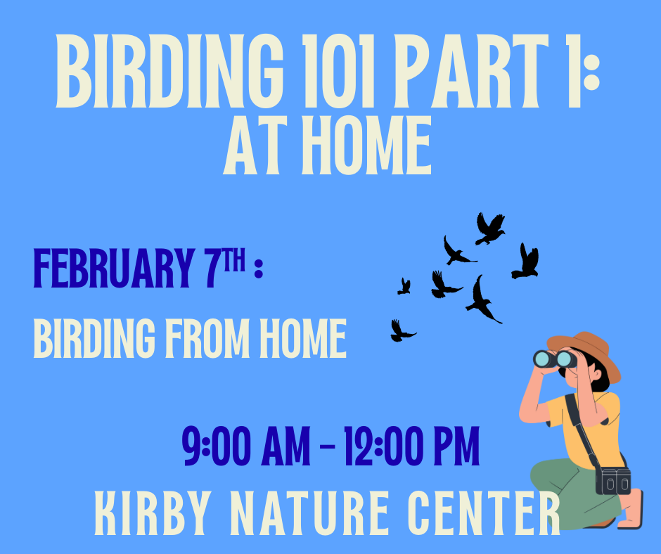 Birding 101: At Home with Kathi Hutton