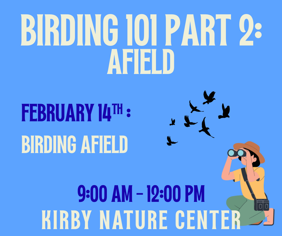 Birding 101: Afield with Kathi Hutton