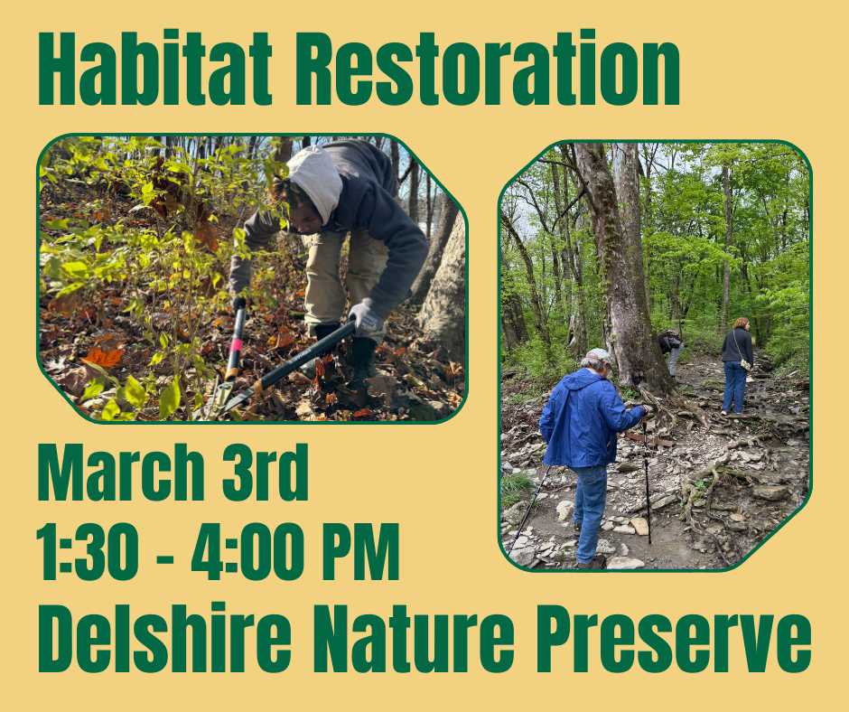 Habitat Restoration at Delshire Nature Preserve