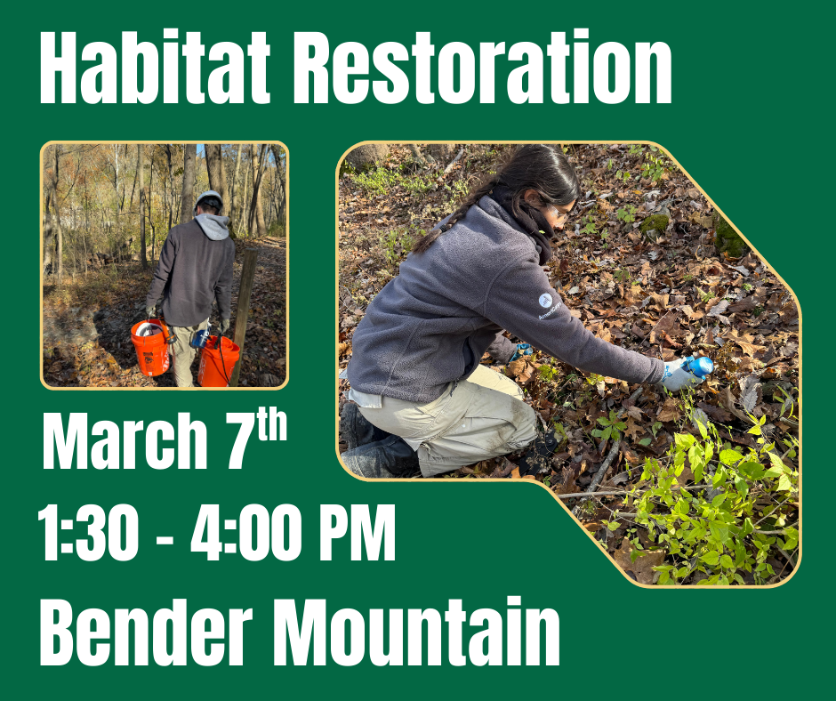 Habitat Restoration at Bender Nature Preserve
