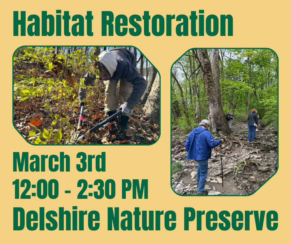 Habitat Restoration at Delshire Nature Preserve