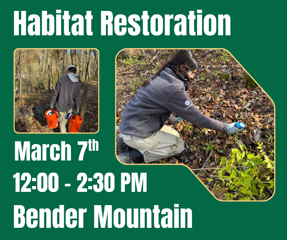 Habitat Restoration at Bender Nature Preserve