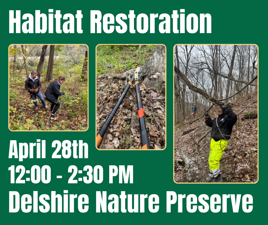 Habitat Restoration at Delshire Nature Preserve