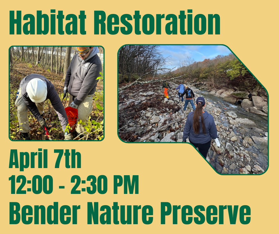 Habitat Restoration at Bender Nature Preserve