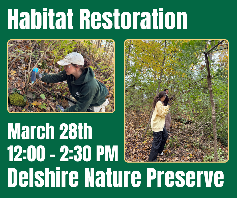 Habitat Restoration at Delshire Nature Preserve