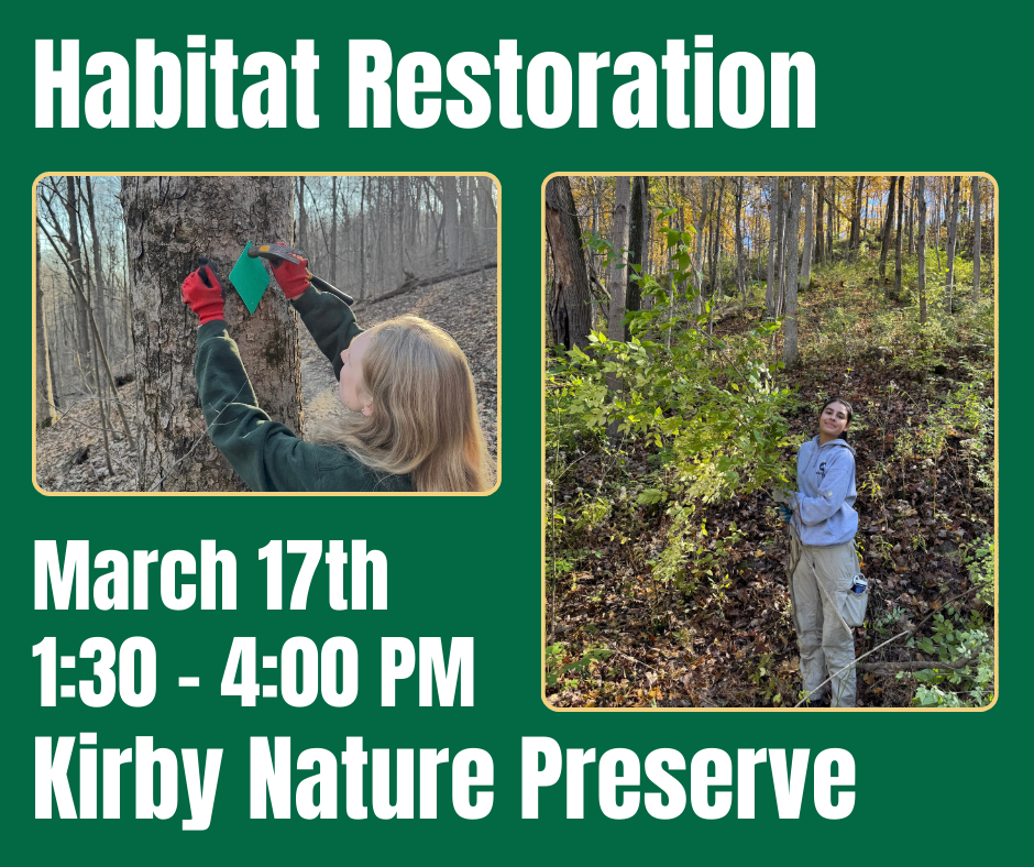 Habitat Restoration at Kirby Nature Preserve