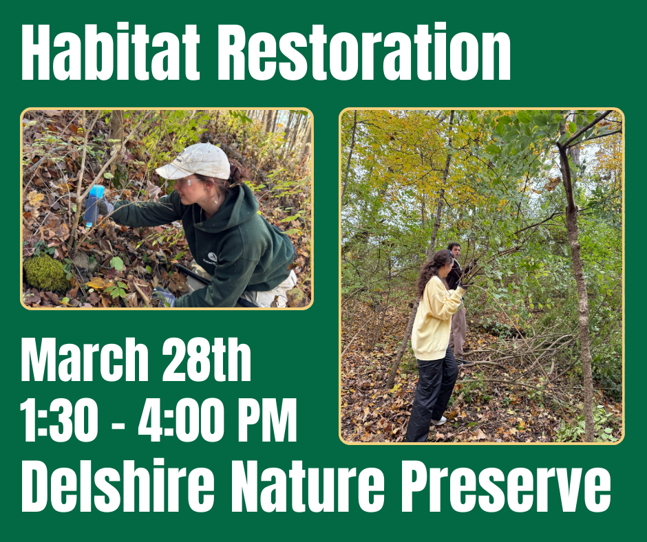 Habitat Restoration at Delshire Nature Preserve