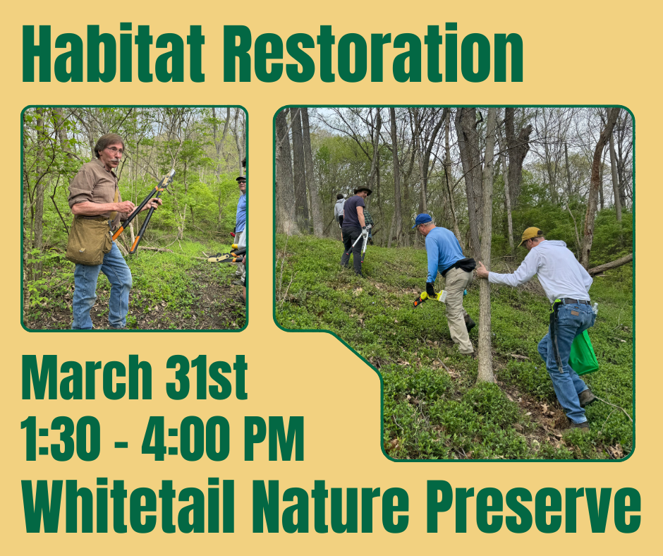 Habitat Restoration at Whitetail Nature Preserve