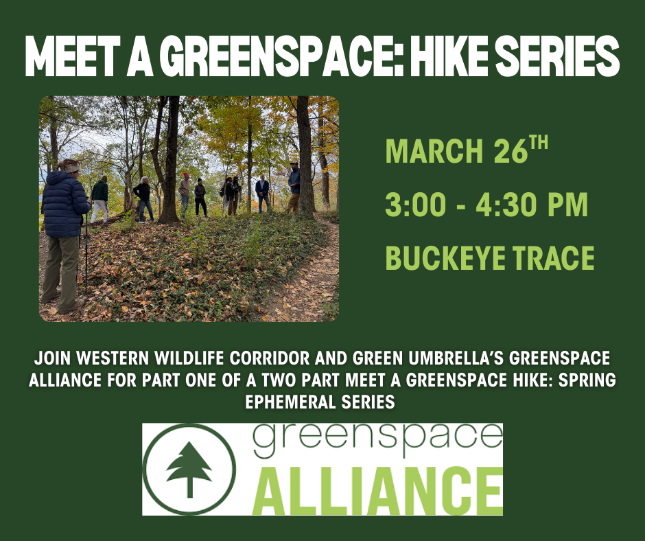 Meet a Greenspace Hike