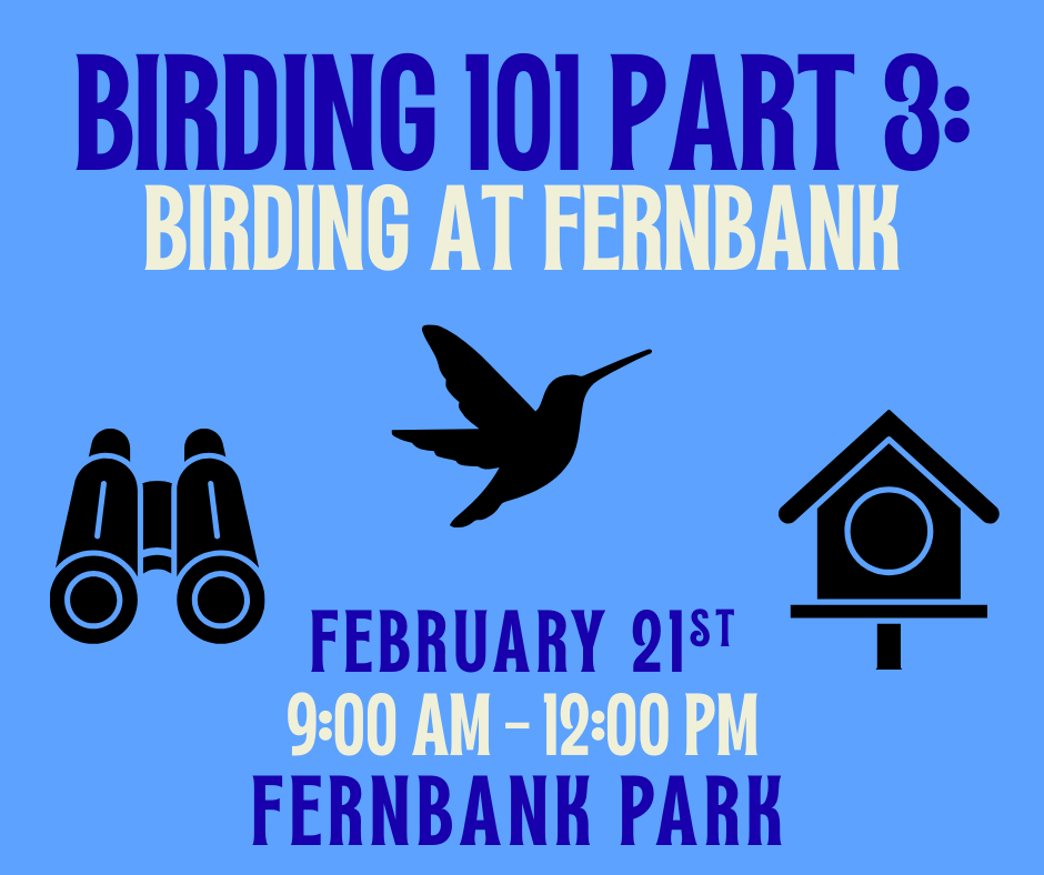 Birding 101: Part 3 with Kathi Hutton