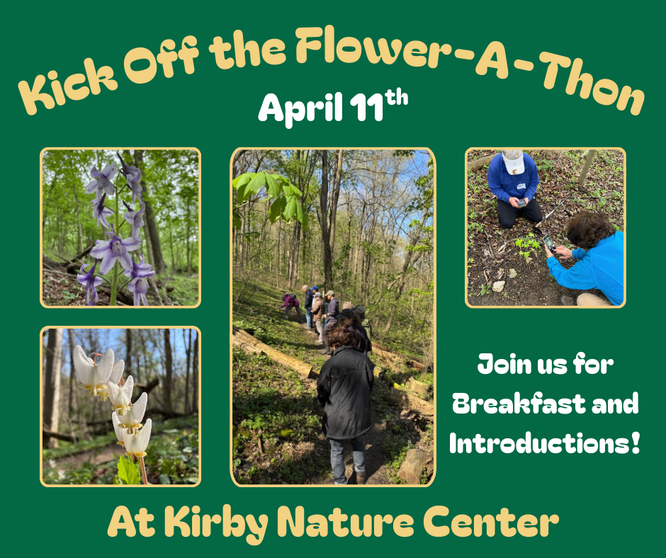 Flower-A-Thon Kick Off